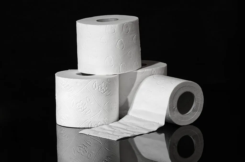 Cómo reutilizar los rollos de papel higiénico: el truco creativo que enamora